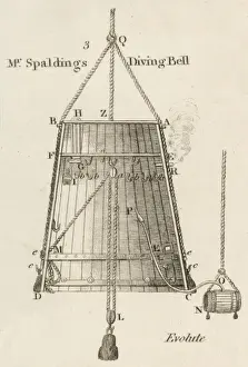 Spaldings bell cross section