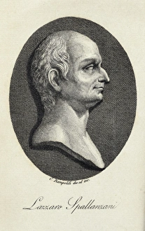 Alle Gallery: SPALLANZANI, Lazzaro (1729-1799). Portrait of