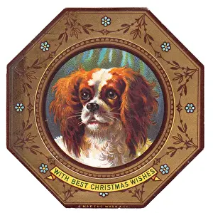 Octagon Prints: Spaniel dog on plate design on a Christmas card