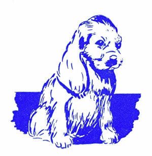 Printers Collection: Spaniel puppy - 1950s printer's block
