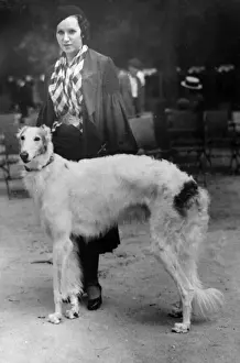 Finest Prints: Spanish Borzoi