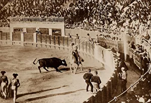 Spanish Bull Fight
