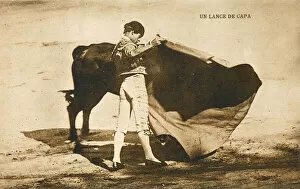 Bull Fight Gallery: Spanish Bullfighting - (card 2 of 3)