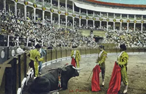 Bull Fight Gallery: Spanish Bullfighting Series (10 / 12)
