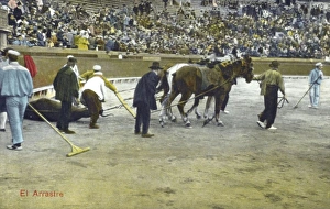 Images Dated 4th May 2011: Spanish Bullfighting Series (12 / 12)