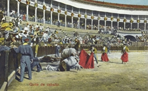 Images Dated 4th May 2011: Spanish Bullfighting Series (4 / 12)