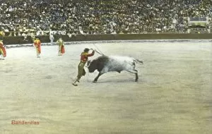 Bull Fight Gallery: Spanish Bullfighting Series (5 / 12)