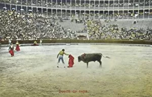 Bull Fight Gallery: Spanish Bullfighting Series (6 / 12)