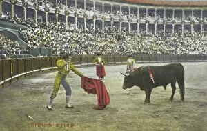 Bull Fight Gallery: Spanish Bullfighting Series (8 / 12)