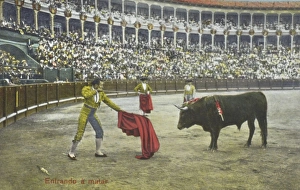 Aims Collection: Spanish Bullfighting Series (8 / 12)