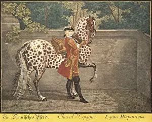Equus Prints: Spanish horse, type Equus Hispanicus. German