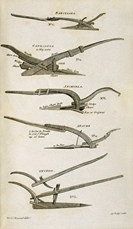 Plow Gallery: Spanish ploughs, picture from the Joseph Townsend s