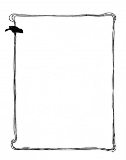Images Dated 3rd November 2011: Sparrow perched on page border