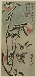 Sparrows Prints: Sparrows and camellias in snow