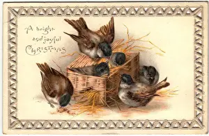 Six sparrows on a Christmas card