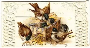 Sparrow Collection: Six sparrows on a Christmas card