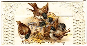 Sparrow Gallery: Six sparrows on a Christmas card