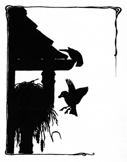 Images Dated 28th October 2011: Two sparrows and their nest