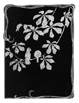 Images Dated 28th October 2011: Two sparrows perched on a branch at night