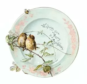 Sparrow Gallery: Two sparrows on a plate-shaped Christmas card