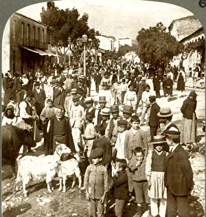 Adults Gallery: Sparta on Market Day, Greece