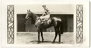 Neill Gallery: Spearfelt, Australian race horse