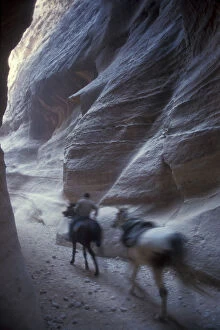 Pace Gallery: Speed blur horses, Petra, Jordan