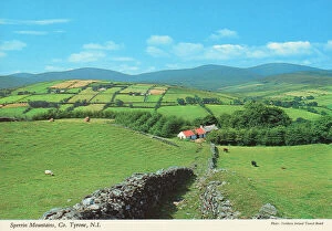 Tourist Collection: Sperrin Mountains, Co. Tyrone, N. I. by N. I. Tourist Board