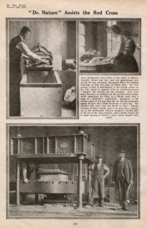 Images Dated 6th April 2017: Sphagnum moss manufactured for surgical dressings, WW1