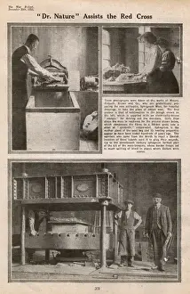 Sphagnum Prints: Sphagnum moss manufactured for surgical dressings, WW1