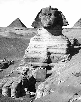 Sphinx Prints: The Sphinx, Egypt