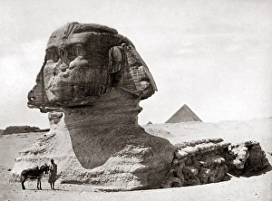 Sphinx Gallery: Sphinx Egypt, circa 1800s