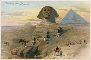 Pyramids Prints: Sphinx / Egypt / Early C20Th