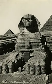 The Sphinx, Giza, Cairo, Egypt