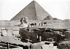 Sphinx Prints: Sphinx and Great Pyramid of Giza, Egypt, circa 1880s