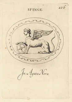 Chimera Prints: Sphinx with one paw on a sun wheel