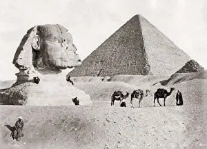 Sphinx, pyramid and camels, Egypt, c. 1890s