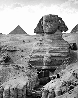 Sphinx Gallery: Sphinx and pyramids, Egypt