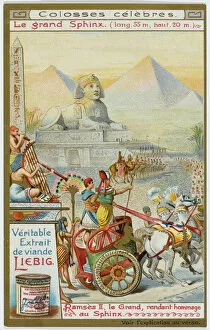 Sphinx Gallery: Sphinx / Rameses II Period