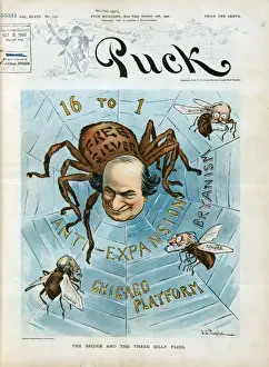 The spider and the three silly flies