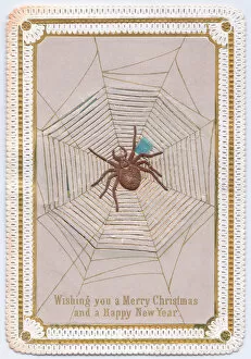 Effect Collection: Spider and web on a Christmas card