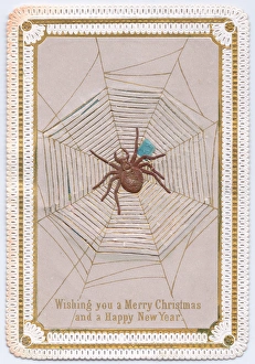 Effect Collection: Spider and web on a Christmas card