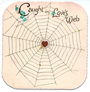 Images Dated 6th July 2018: Spiders web on a Valentine card