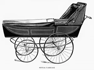 Spinal Prints: Spinal carriage