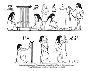 3000 Prints: Spinning / Egypt / Wilkinson