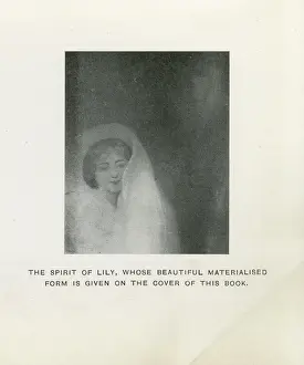 Spirit of Lily