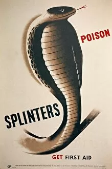 Poison Gallery: Splinters Poison