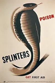 In Formation Prints: Splinters Poison