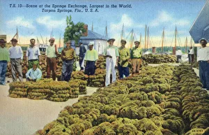 Sponge Prints: The Sponge Exchange at Tarpon Springs, Florida, USA