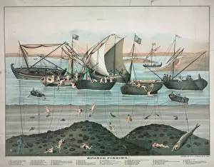 Sponge Prints: Sponge fishing
